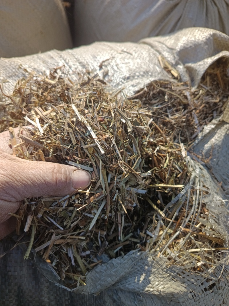 【花生秧】山东牧草花生秧接养殖样加工常年有货全国接单圆包