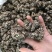 川芎，川芎片，一手货源，保质保量，价格优惠