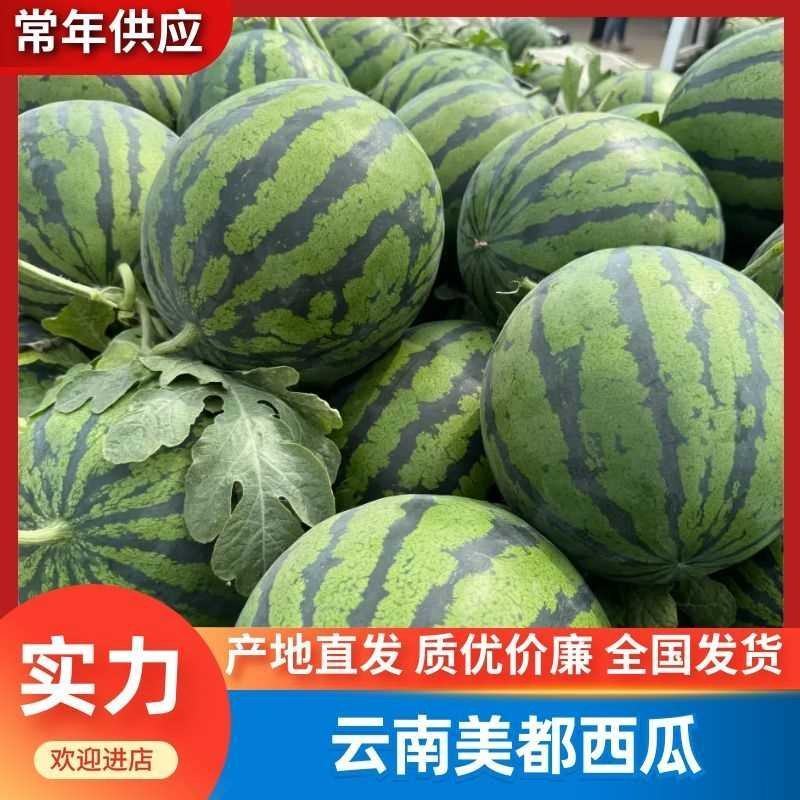陕西蒲城精品美都价格便宜产地直发可视频看货云南