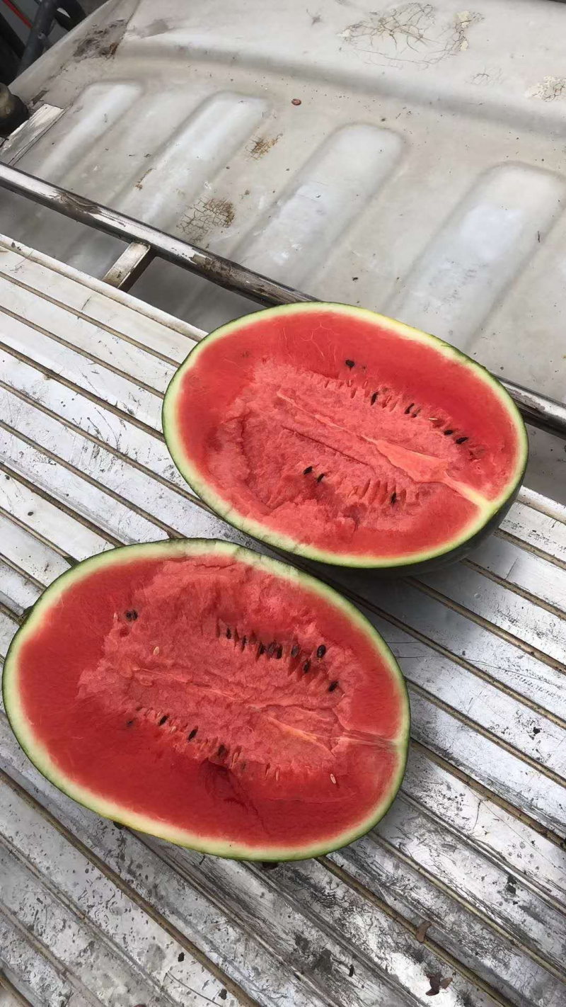 广西黑美人西瓜产地一手货，皮毛亮耐运输，电话联系