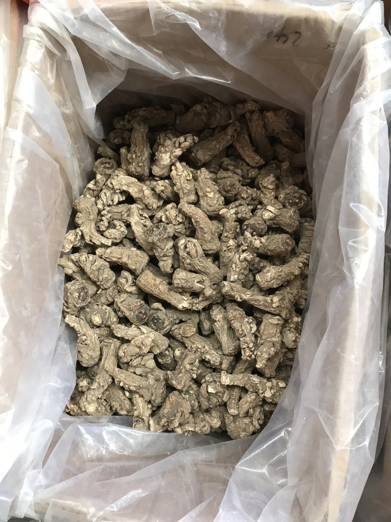 精品当归头，现货秒发，尽在掌握，保质保真，价格优惠
