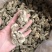 精品当归头，现货秒发，尽在掌握，保质保真，价格优惠