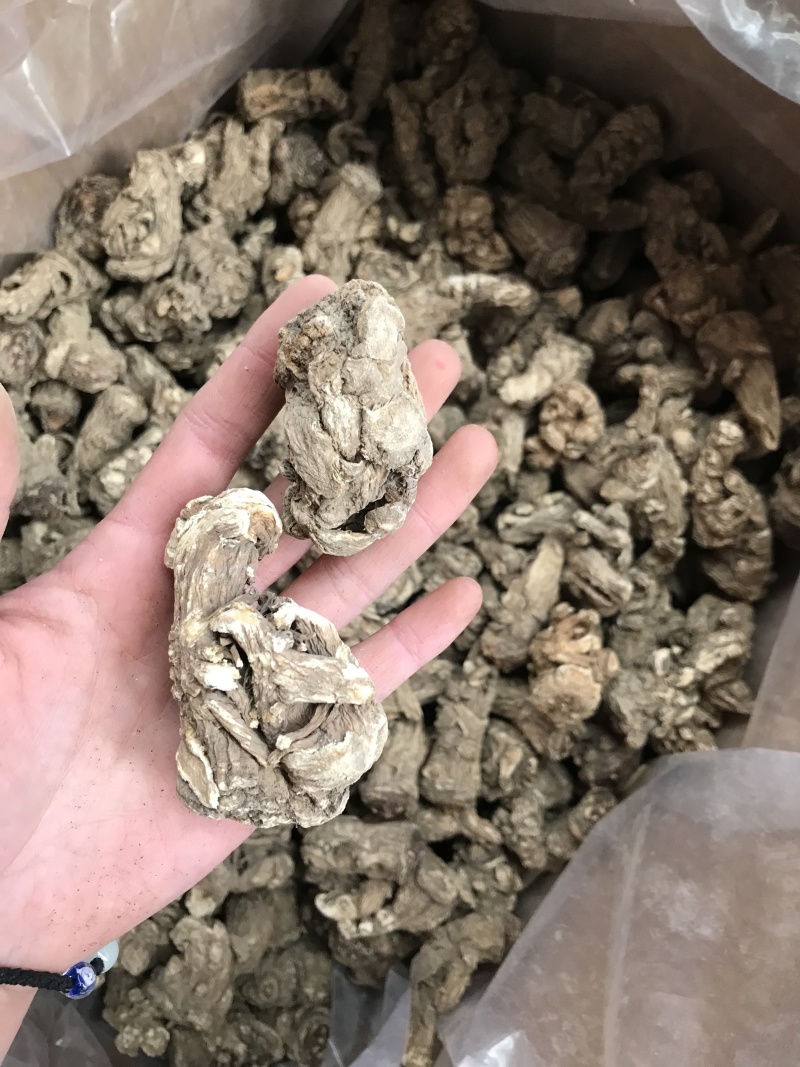 精品当归头，现货秒发，尽在掌握，保质保真，价格优惠