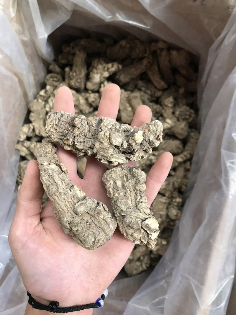 精品当归头，现货秒发，尽在掌握，保质保真，价格优惠