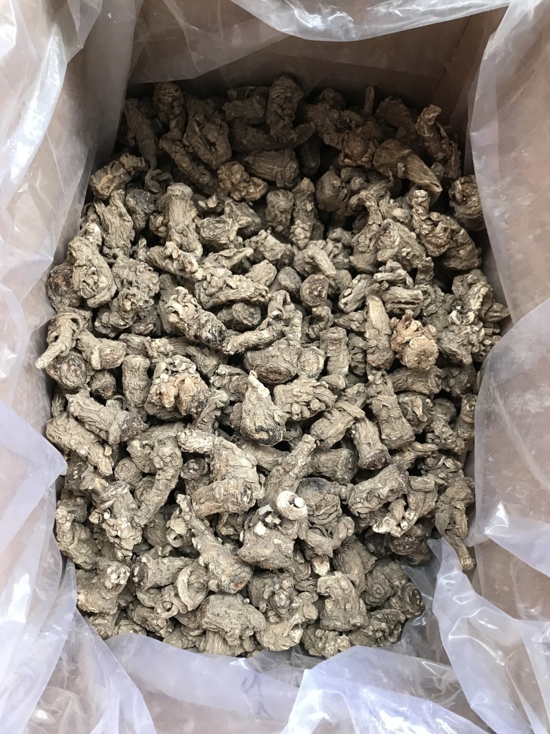 精品当归头，现货秒发，尽在掌握，保质保真，价格优惠