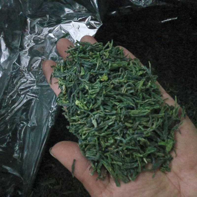 六安瓜片绿茶