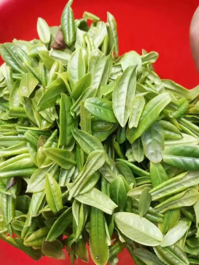 六安瓜片绿茶