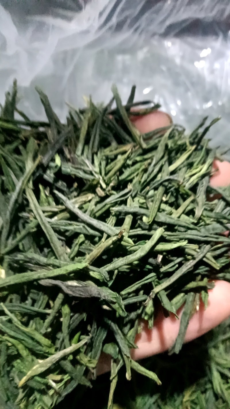 六安瓜片绿茶