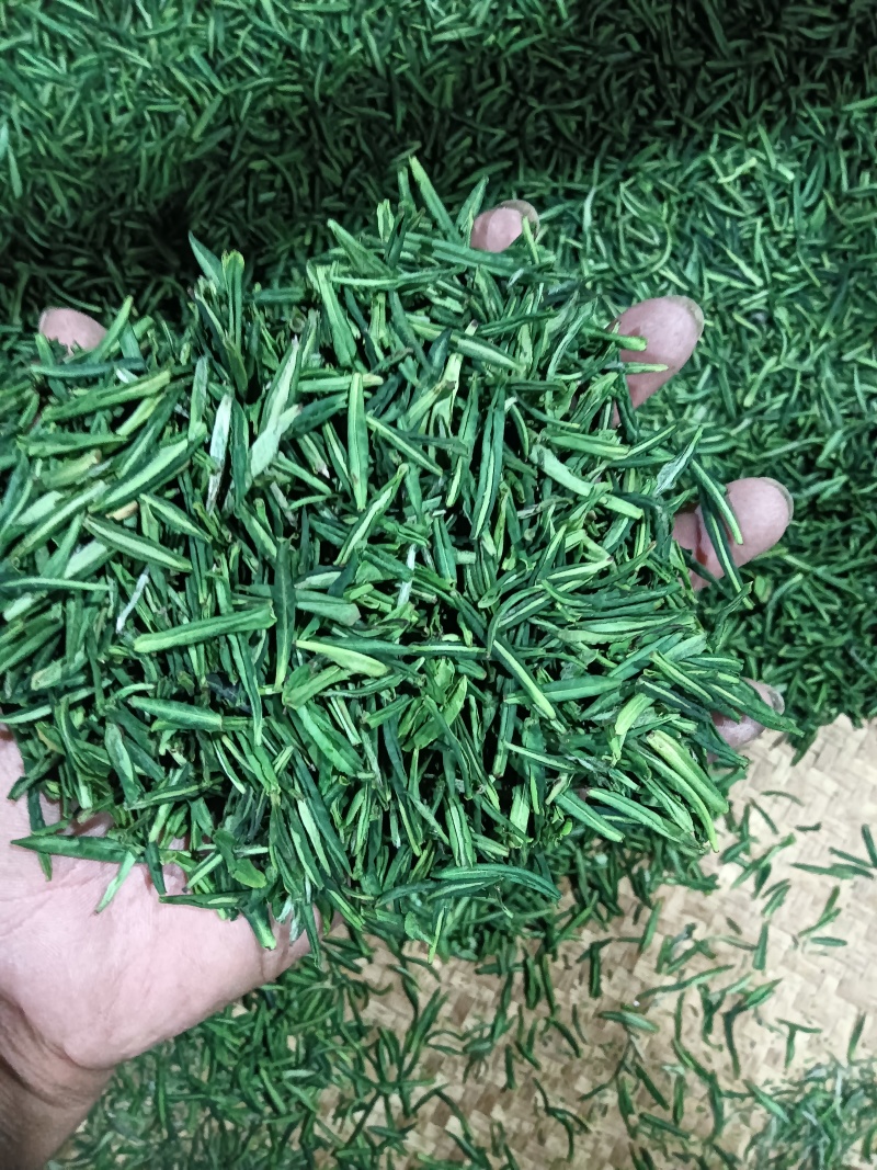 六安瓜片绿茶