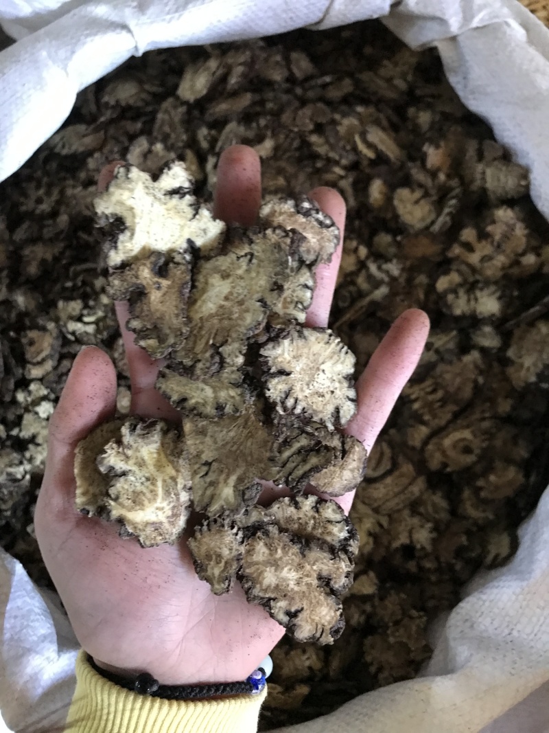 川芎，川芎片，一手货源，保质保真，量大价优