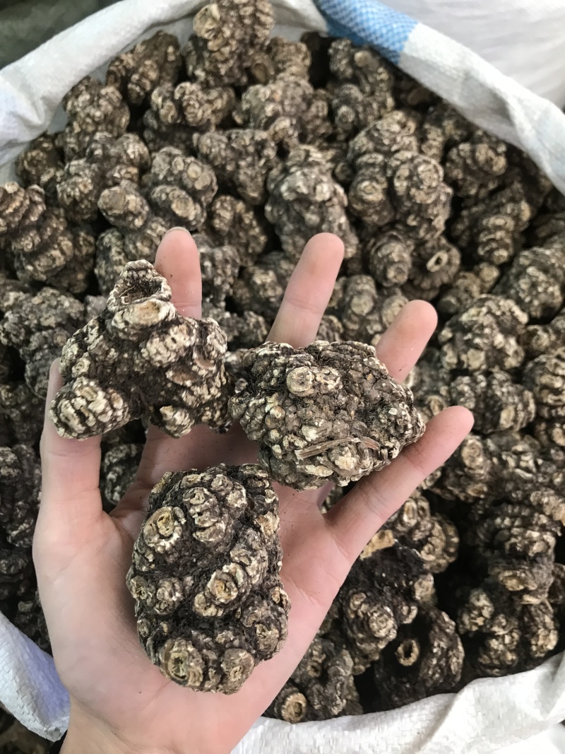 川芎，川芎片，一手货源，保质保真，量大价优