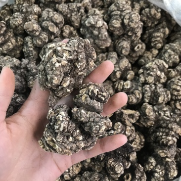 川芎，川芎片，一手货源，保质保真，量大价优