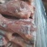 带腱小牛后腿骨