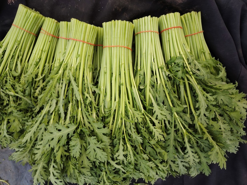 精品小叶茼蒿，质量好不空心卖相好好