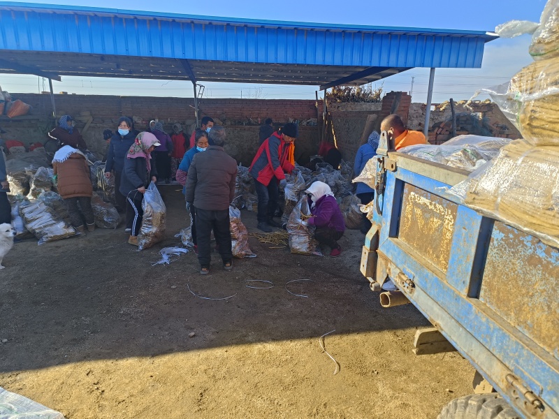 【萝卜条】精品萝卜条产地直发价格美丽欢迎老板致电咨询