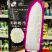 澳甜糯75玉米种子大棒甜加糯玉米种子鲜食白糯玉米种籽