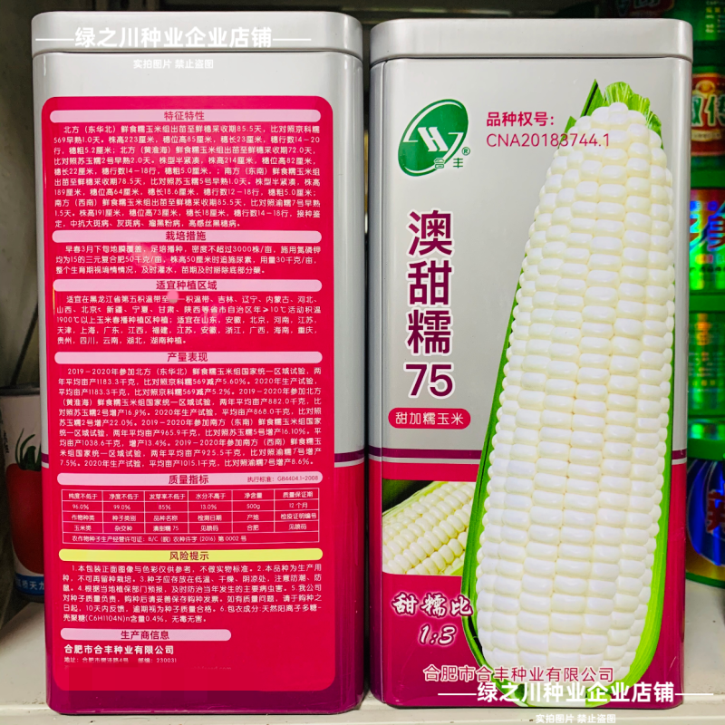 澳甜糯75玉米种子大棒甜加糯玉米种子鲜食白糯玉米种籽