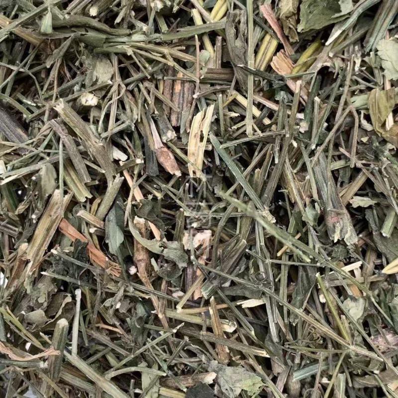 穿心莲【包邮】各种规格有货可批量可零售量大从优