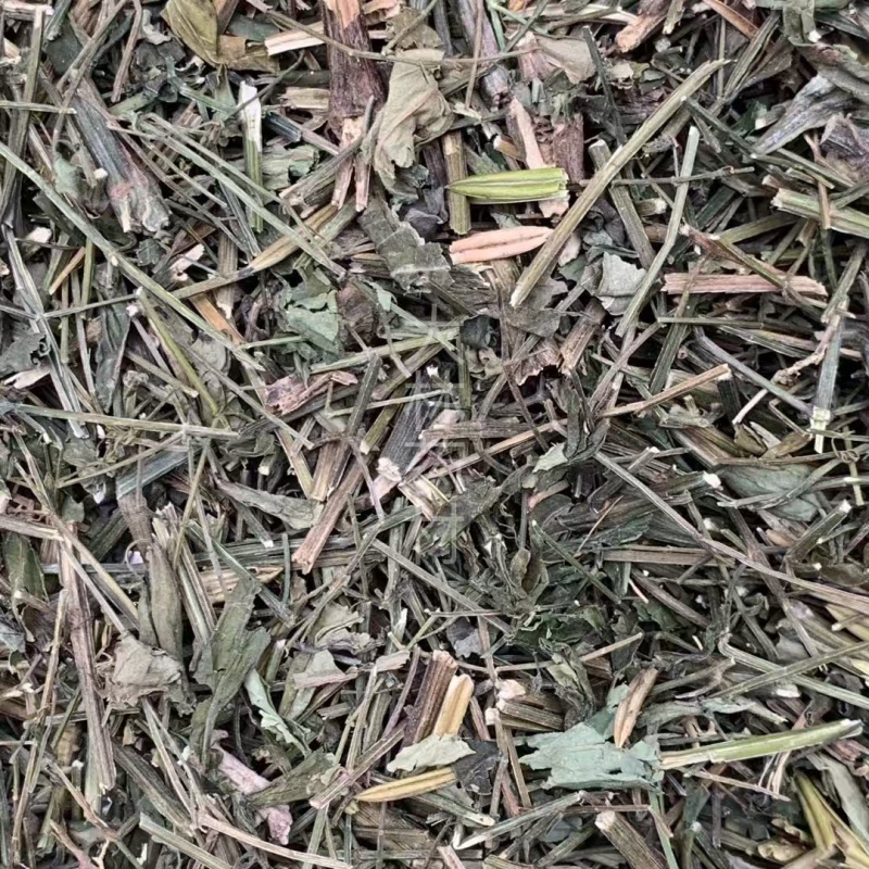 穿心莲【包邮】各种规格有货可批量可零售量大从优