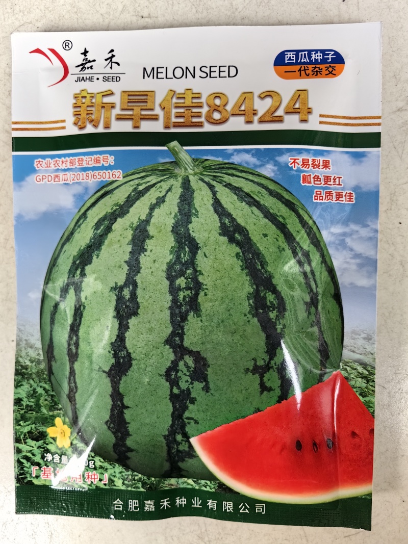 新早佳8424西瓜种子耐裂红瓤甜酥脆薄皮圆西瓜种子籽大田