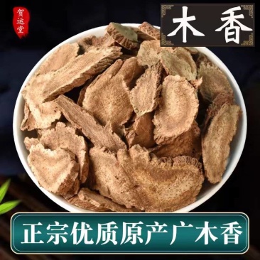 云木香云南种植加工产地直发全国供应保质保量