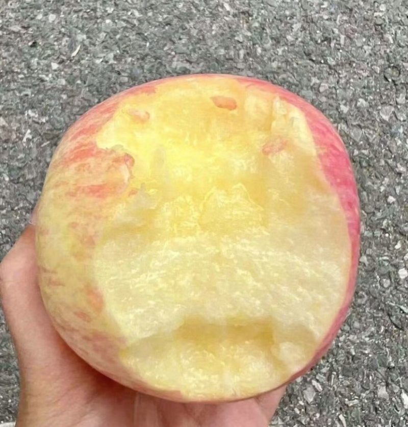 红富士苹果山东红富士苹果皮薄多汁基地直发量大从优