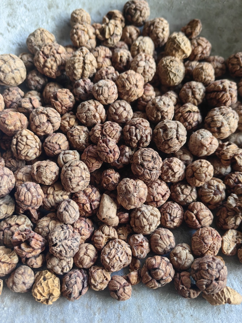 草豆蔻香料草寇草叩量大从优批发各种中药材