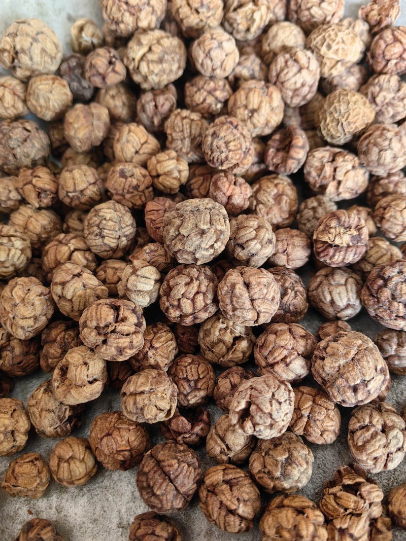 草豆蔻香料草寇草叩量大从优批发各种中药材