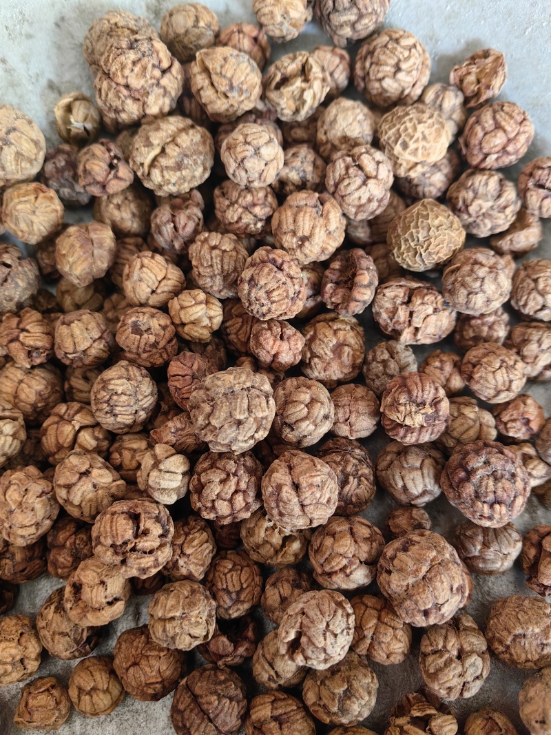草豆蔻香料草寇草叩量大从优批发各种中药材