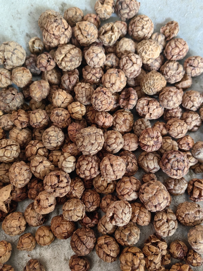 草豆蔻香料草寇草叩量大从优批发各种中药材