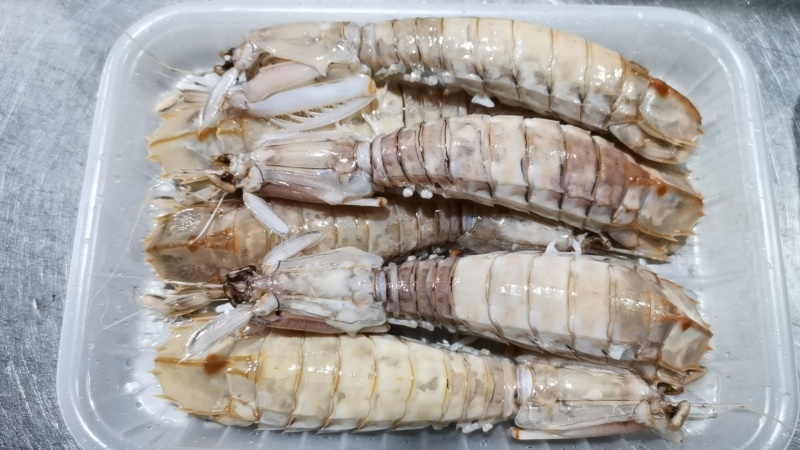 皮皮虾《活冻熟冻精品皮皮虾》