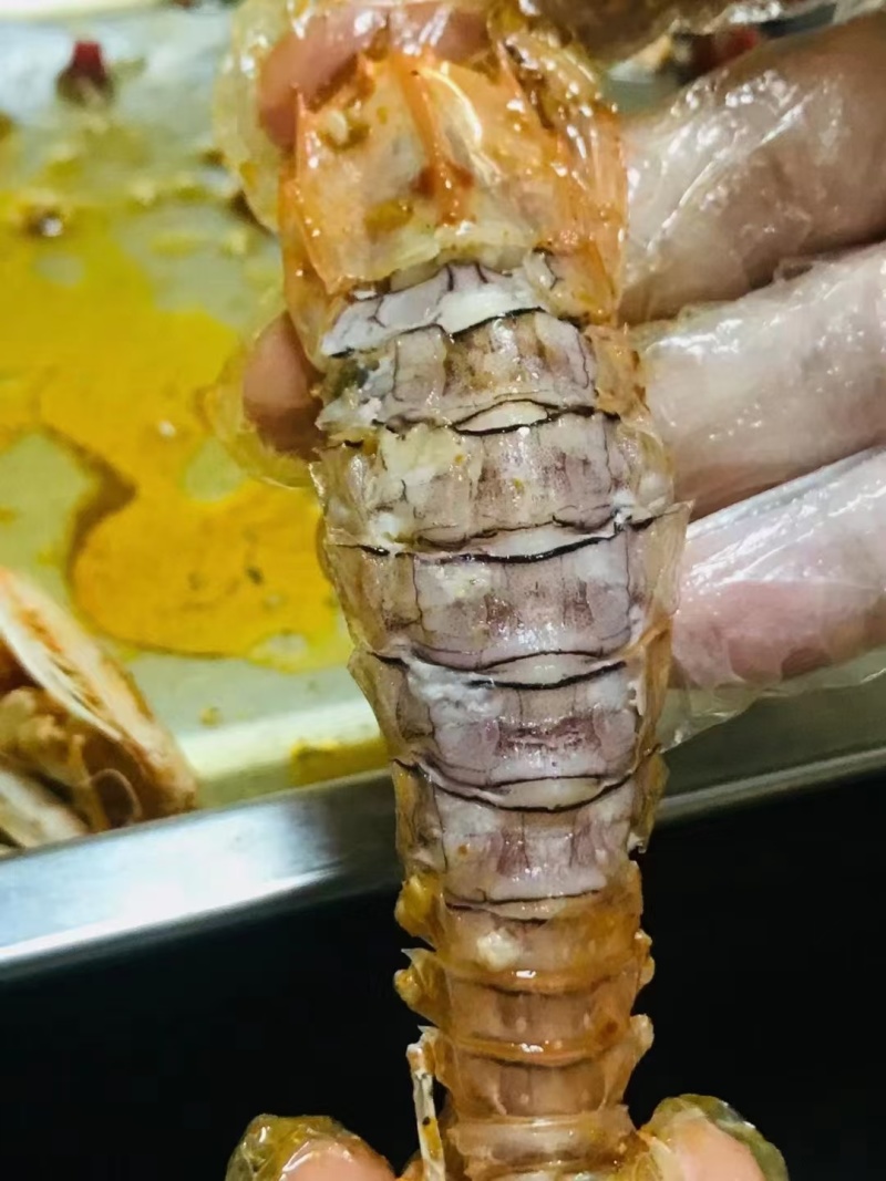 皮皮虾《活冻熟冻精品皮皮虾》
