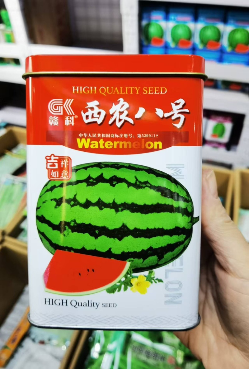 西农八号西瓜种子中晚熟花皮瓜瓤鲜红大果型耐重茬