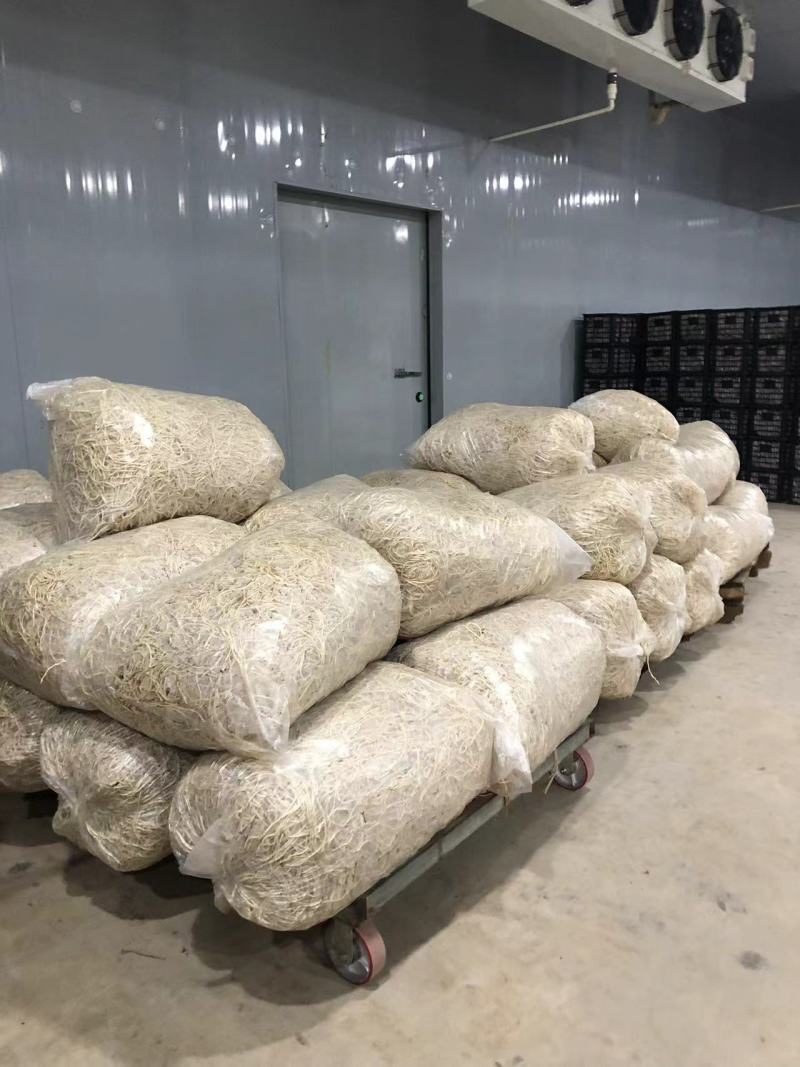 【推荐】湖北鱼腥草根折耳根节节根一手货源供应市场商超电商
