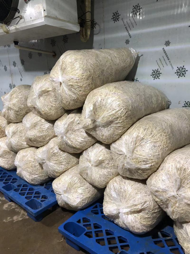【推荐】湖北鱼腥草根折耳根节节根一手货源供应市场商超电商