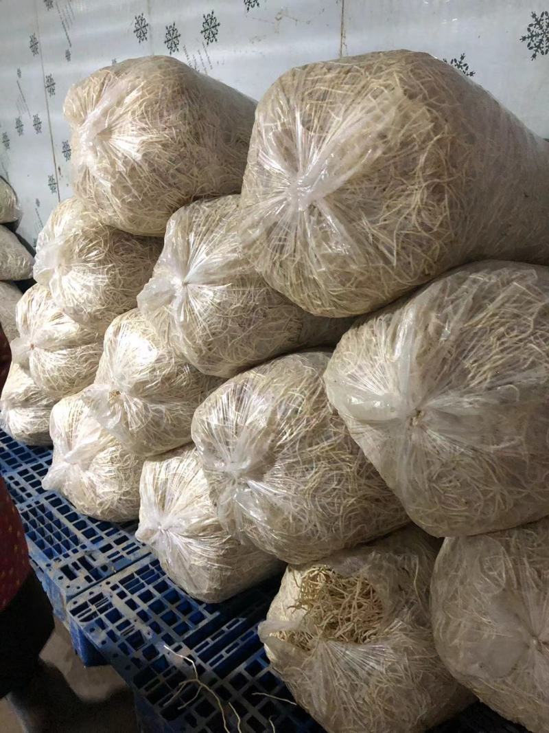 【推荐】湖北鱼腥草根折耳根节节根一手货源供应市场商超电商