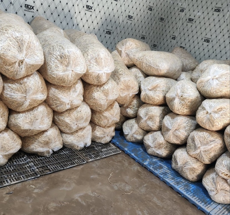 【推荐】湖北鱼腥草根折耳根节节根一手货源供应市场商超电商