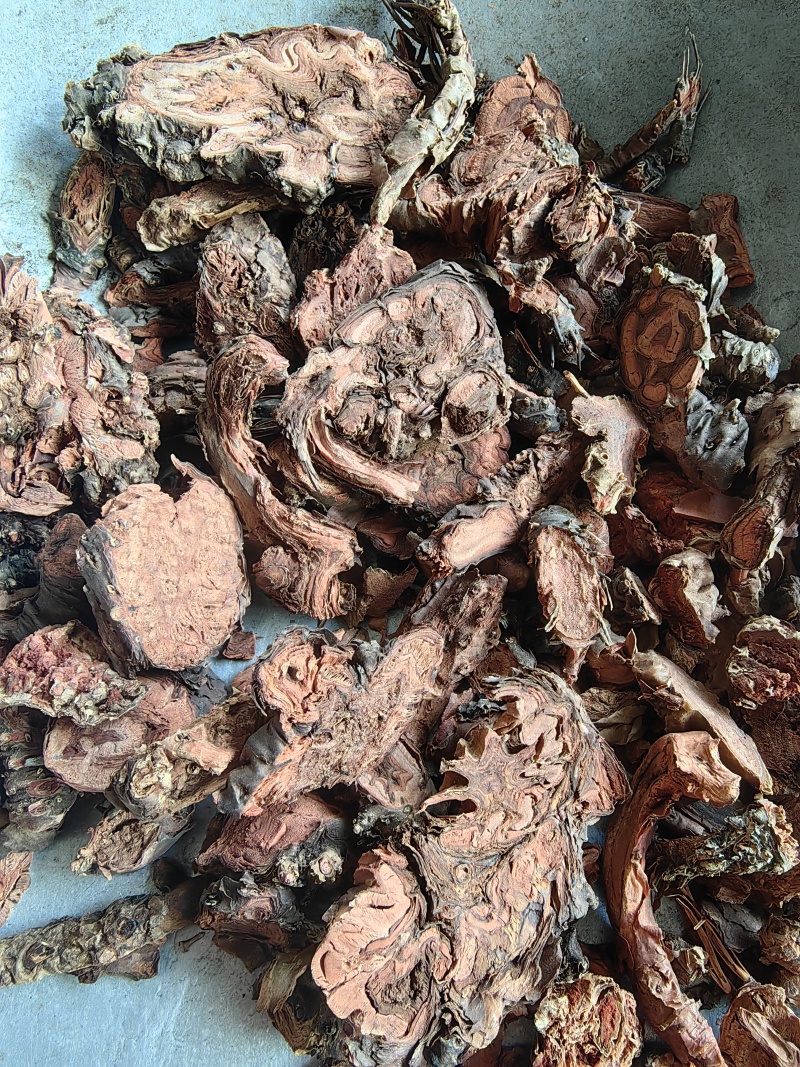 红景天西藏红景天高原大花红景天小花红景天产地直销一手货源