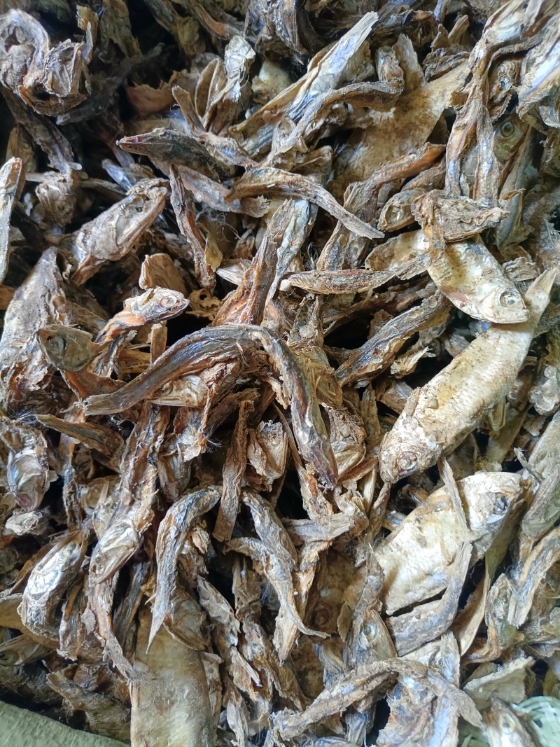 淡干鳀鱼，无盐，无杂质，干度一流，易粉碎蛋白高