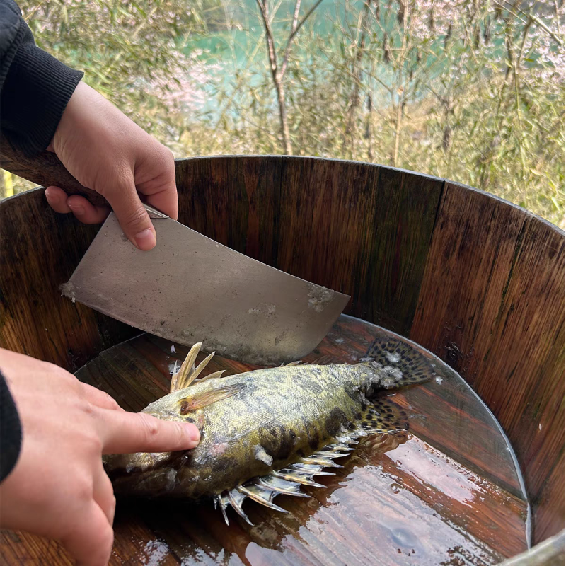 梧桐湖鳜鱼/桂鱼/湖北鳜鱼/原生态养殖/全国鲜活发货