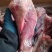 帶腱牛小腿骨，带肉满满当当，价格**低，欢迎咨询！