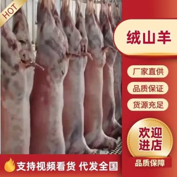 内蒙古牧区白绒山羊，纯牧区散养二年，40斤左右每只。