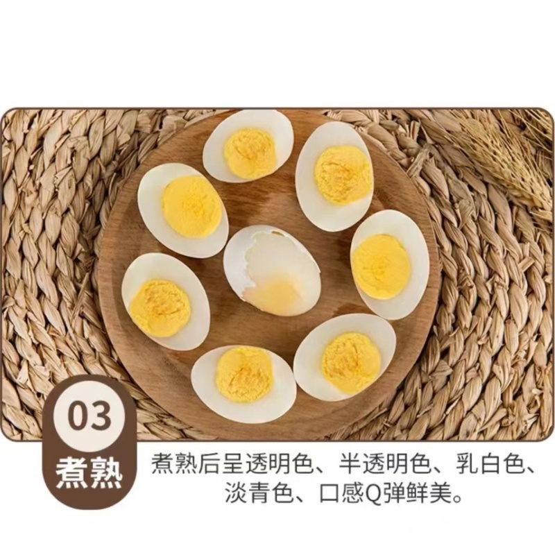 鸽子蛋批100个以上包邮