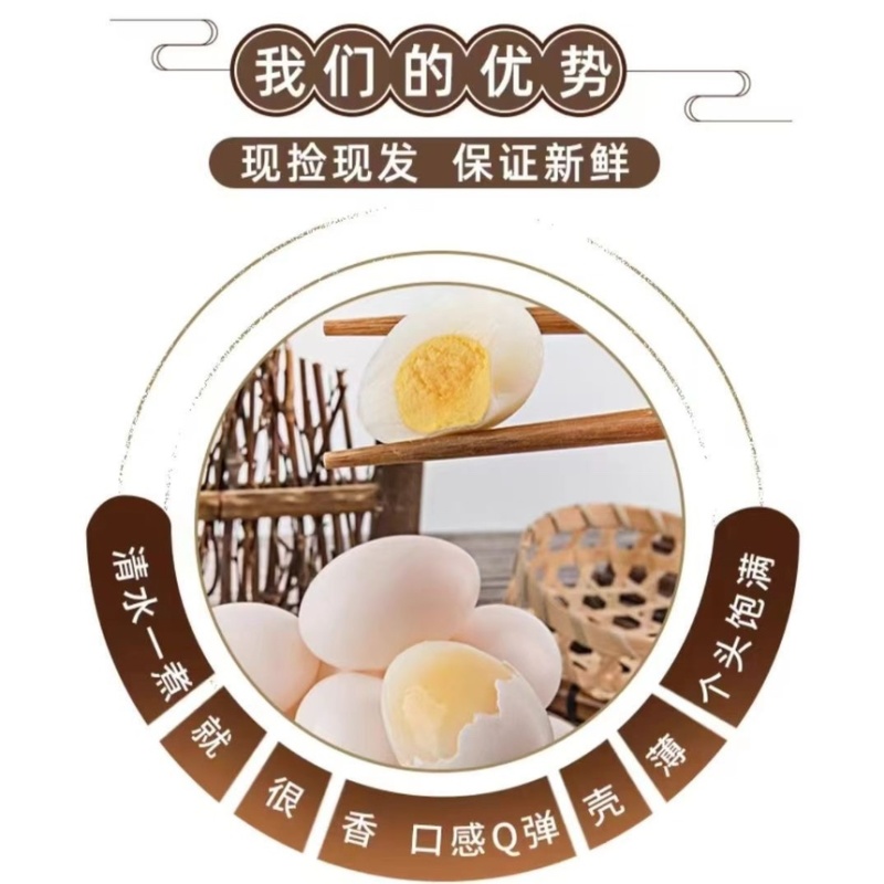 鸽子蛋批100个以上包邮