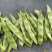 广东东北油豆角一点红油豆角，代办，团购，电商，一件代发