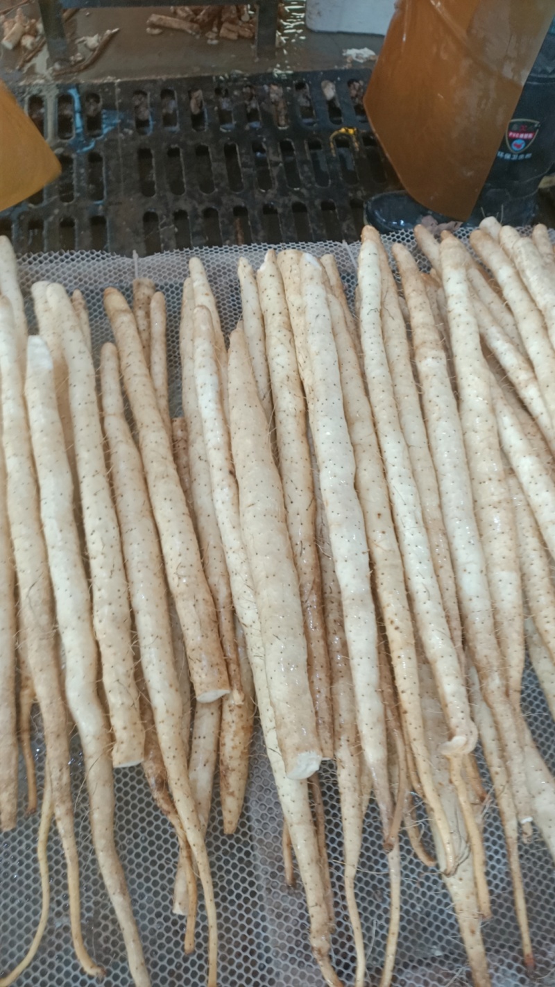 长期供应正品保障山药24小时在线服务