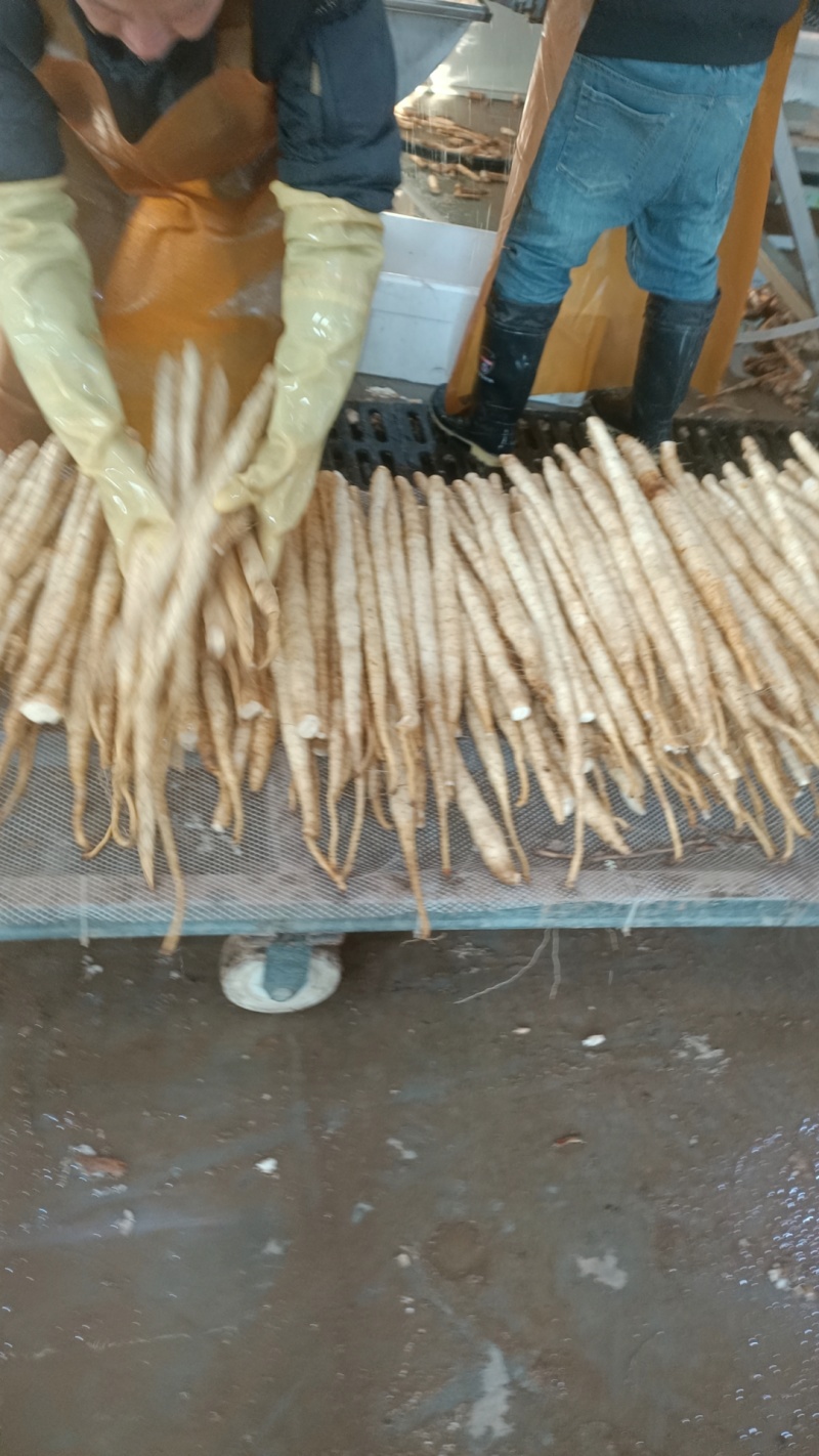 长期供应正品保障山药24小时在线服务