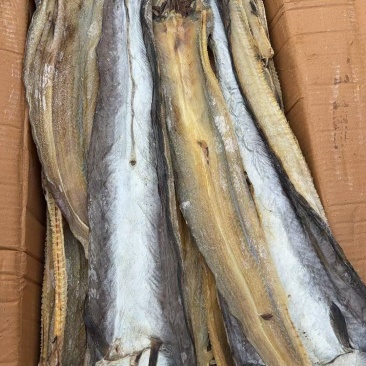 淡干鳗鱼干鳗鱼干产地直发质量好价格便宜