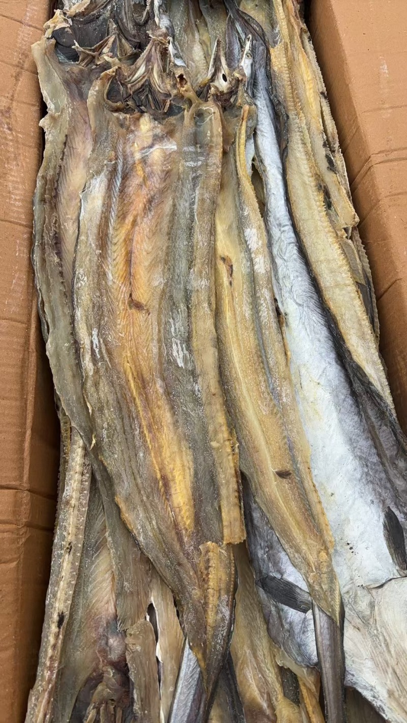 淡干鳗鱼干鳗鱼干产地直发质量好价格便宜