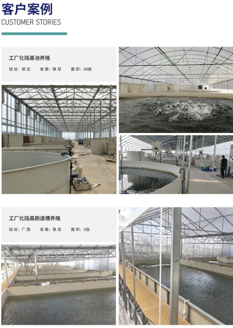 陆基高密度循环水养殖设备PP材料全套智能化设备
